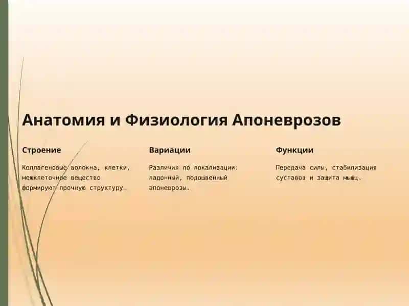 Патология апоневроз 3