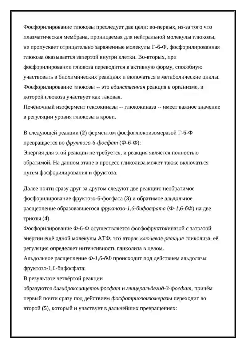 Гликолиз 3