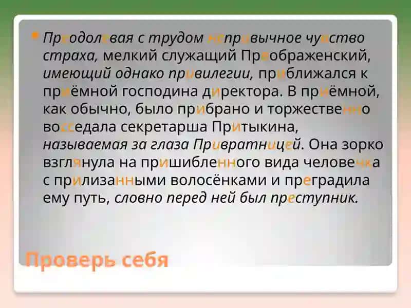 Сложноподчиненное предложение с придаточными определительными 3
