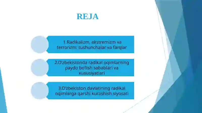 O’zbekiston davlat siyosatida radikal oqimlarga qarshi kurashning yo’nalishlari 3