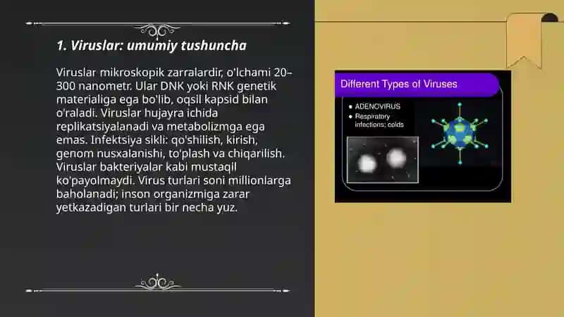 Viruslar va ularning turlari 3