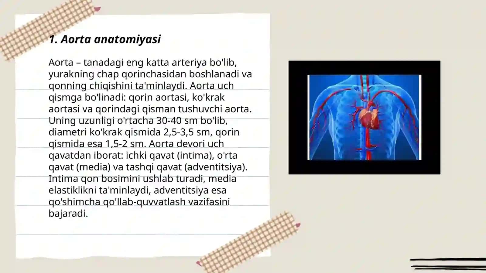 Aorta ravog'i tashqi va ichki uyqu arteriasi 3