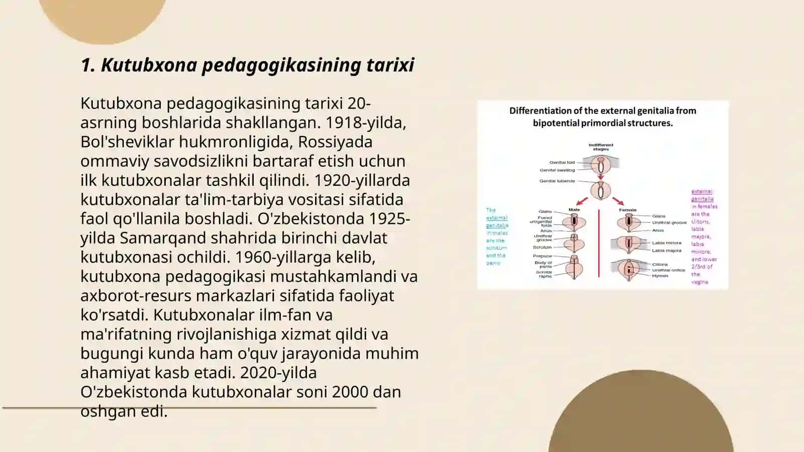 Kutubxona pedagogikasining tarixi 3