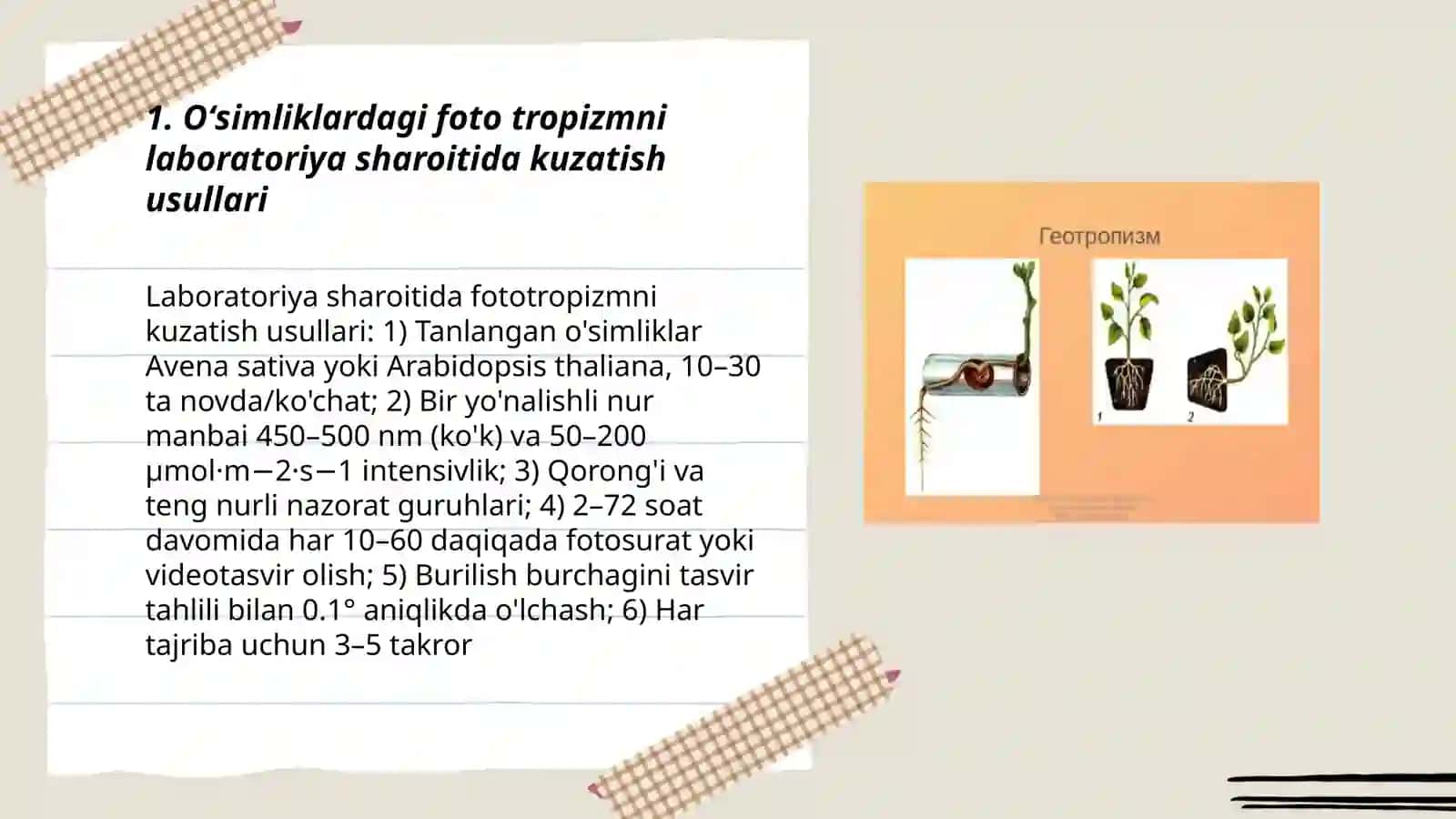 Oʻsimliklardagi foto tropizm, foto nastiya va geotropizm hodisalarini kuzatish 3