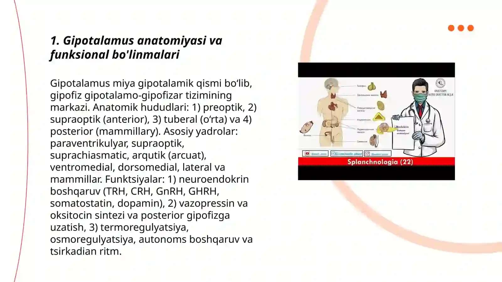 Endokrin a'zolar. Gipotalamus va epifiz tuzilishi. Gipofiz. Gipotlamo-gipofizar tizim. Qalqonsimon bez, qalqonsimon bez oldi bezi, buyrak usti bezi 3