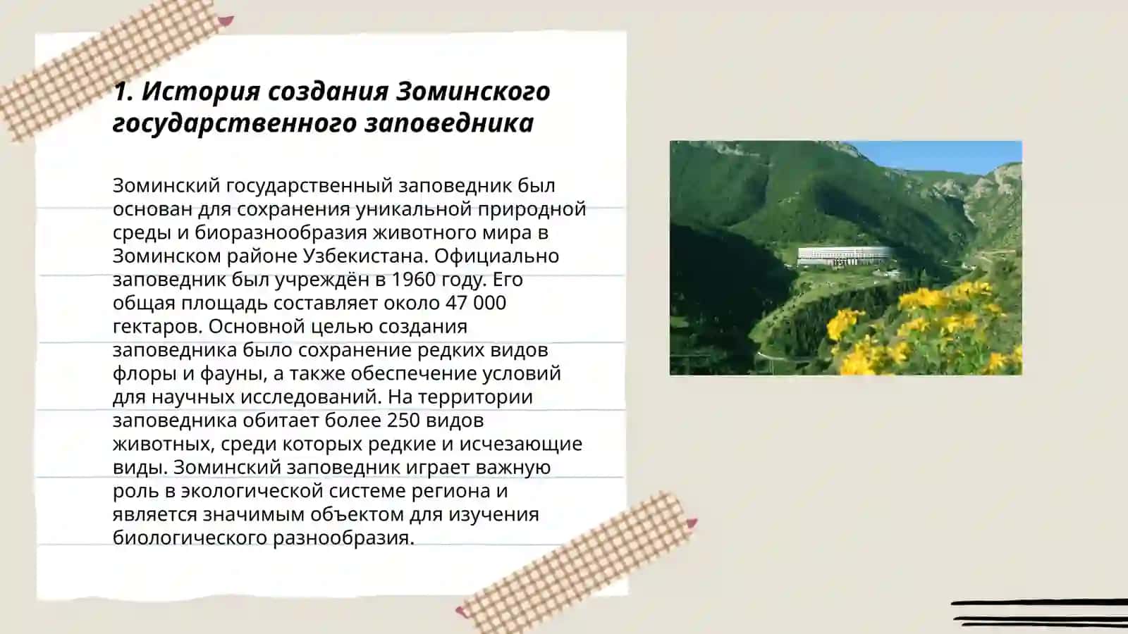 Зоминский государственный заповедник 3