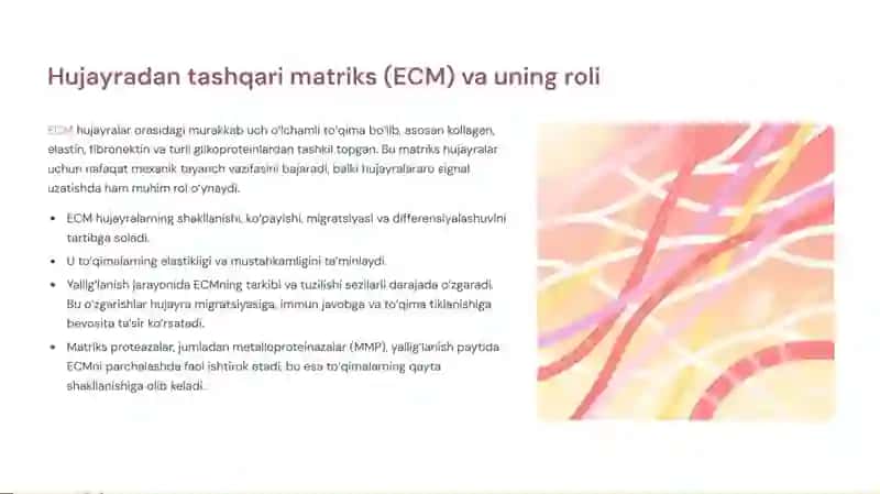 Yallig‘lanishni tizimli tasirlari. Hujayradan tashqari matriks va hujayra-matriks o‘zaro ta’siri. To‘qima regeneratsiyasi mexanizmi. 3