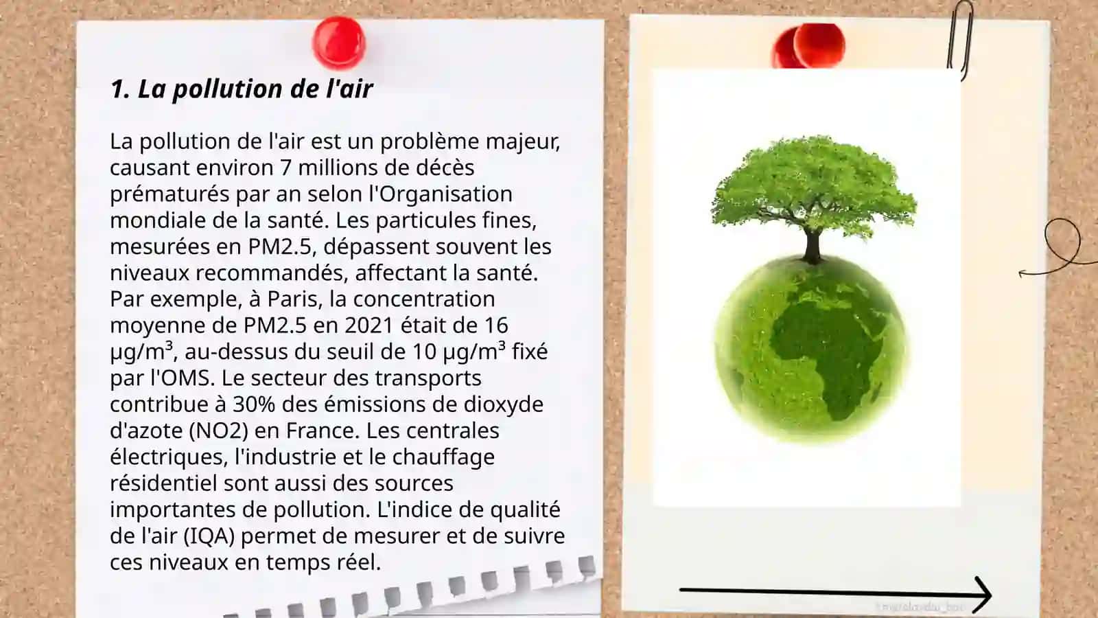 L'environnement 3