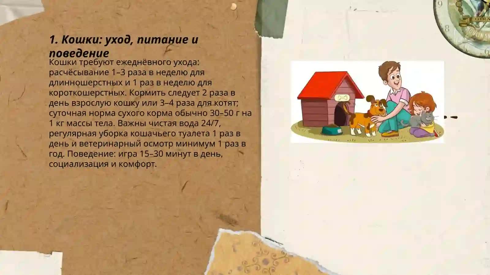 Мои домашние животиные 3