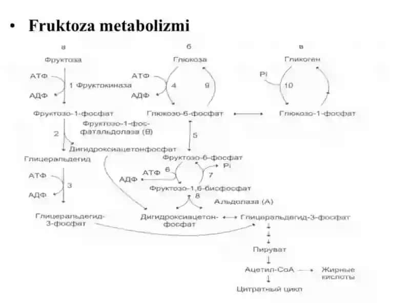 Radioaktivelementlar 3
