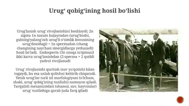 Urug'lanish 3