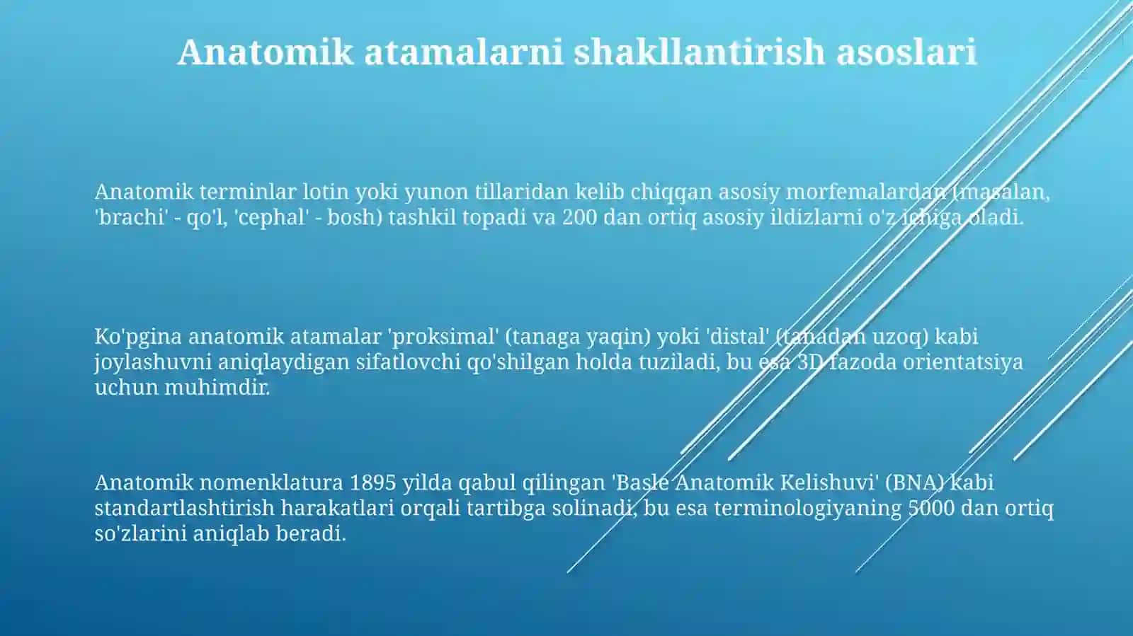 Anatomik terminlar tuzilishi 3