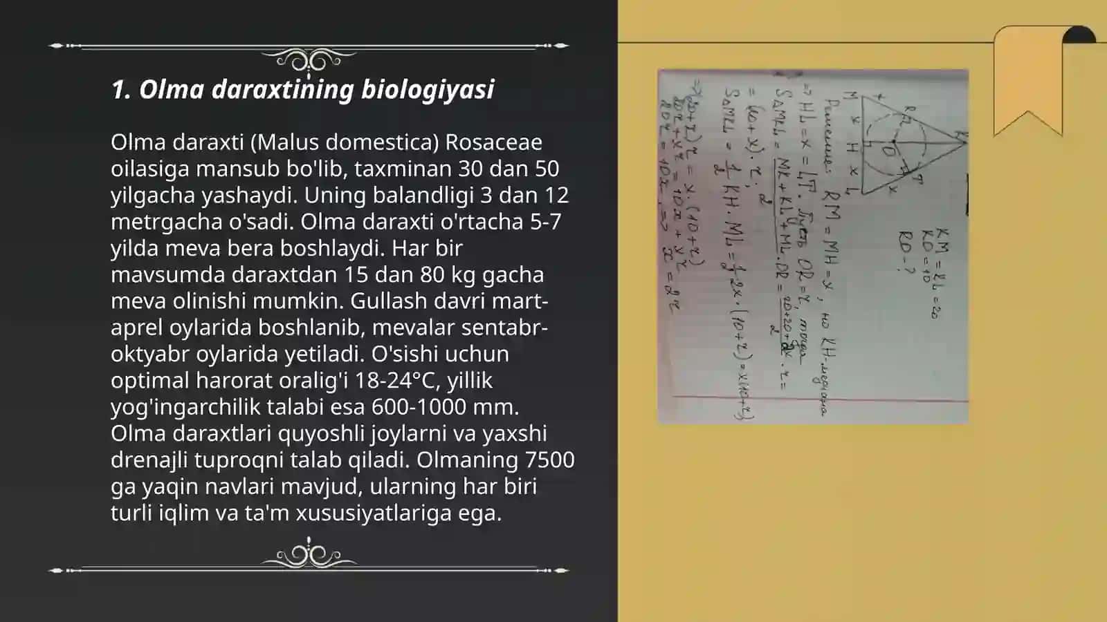 Olma daraxti ʼʼ koʻrgazmali materialni tayyorlash 3