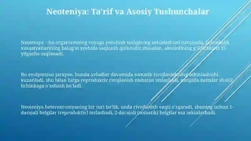 Zoologiya - Qobiqlilarning kelib chiqishi va evolyutsiyasi 3