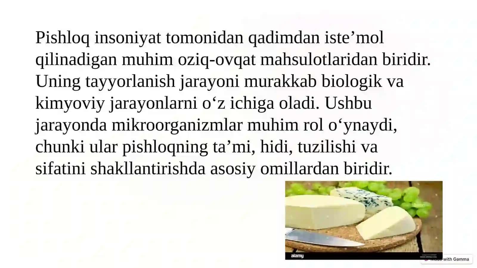 Pishloq tayyorlashda ishtirok etuvchi mikroorganizmlar 3