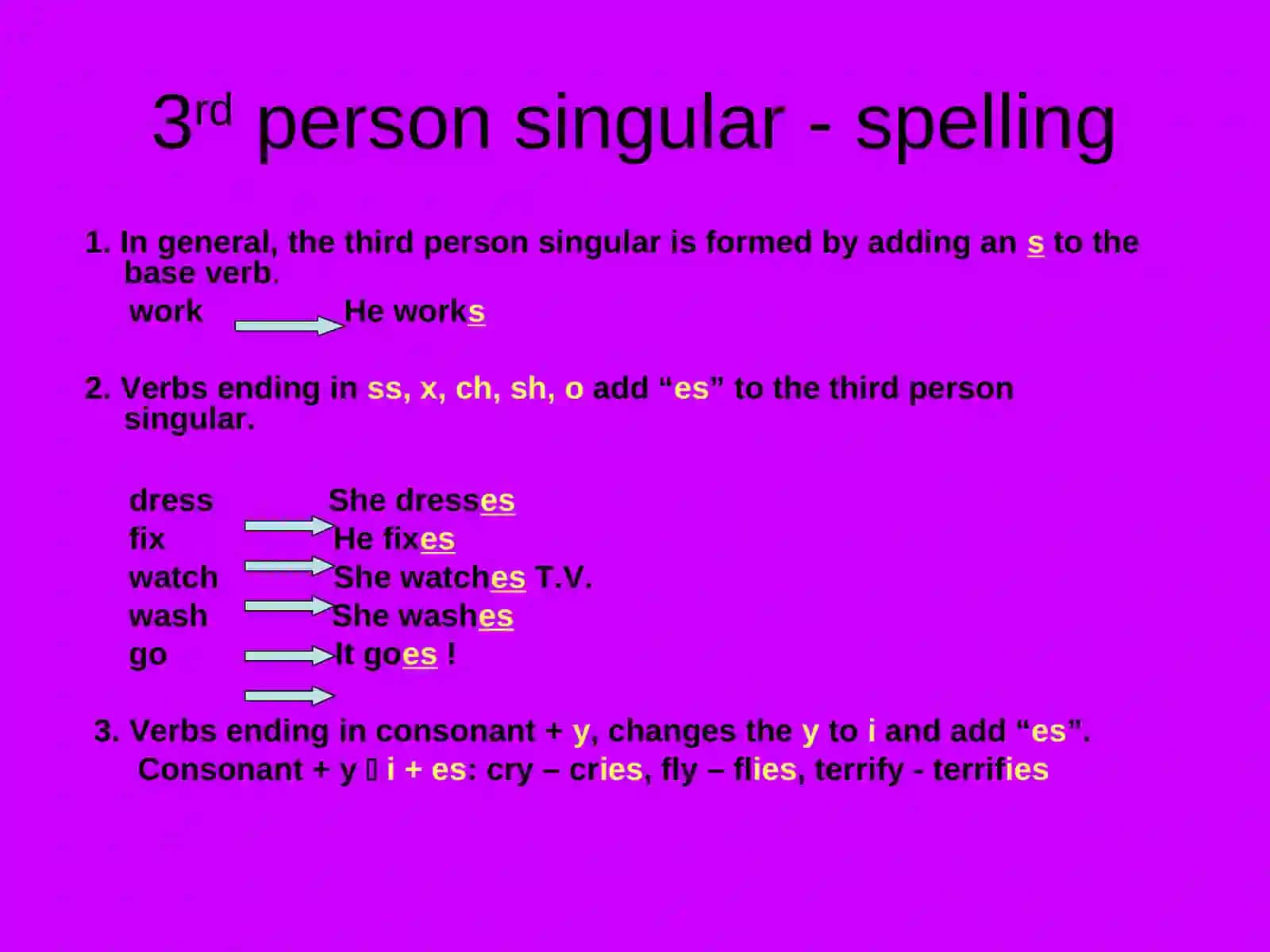 THE PRESENT SIMPLE TENSE(Affirmative) 3