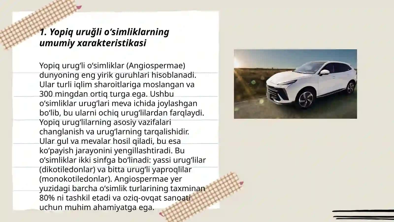Yopiq uruğlilarning kelib chiqishi 3