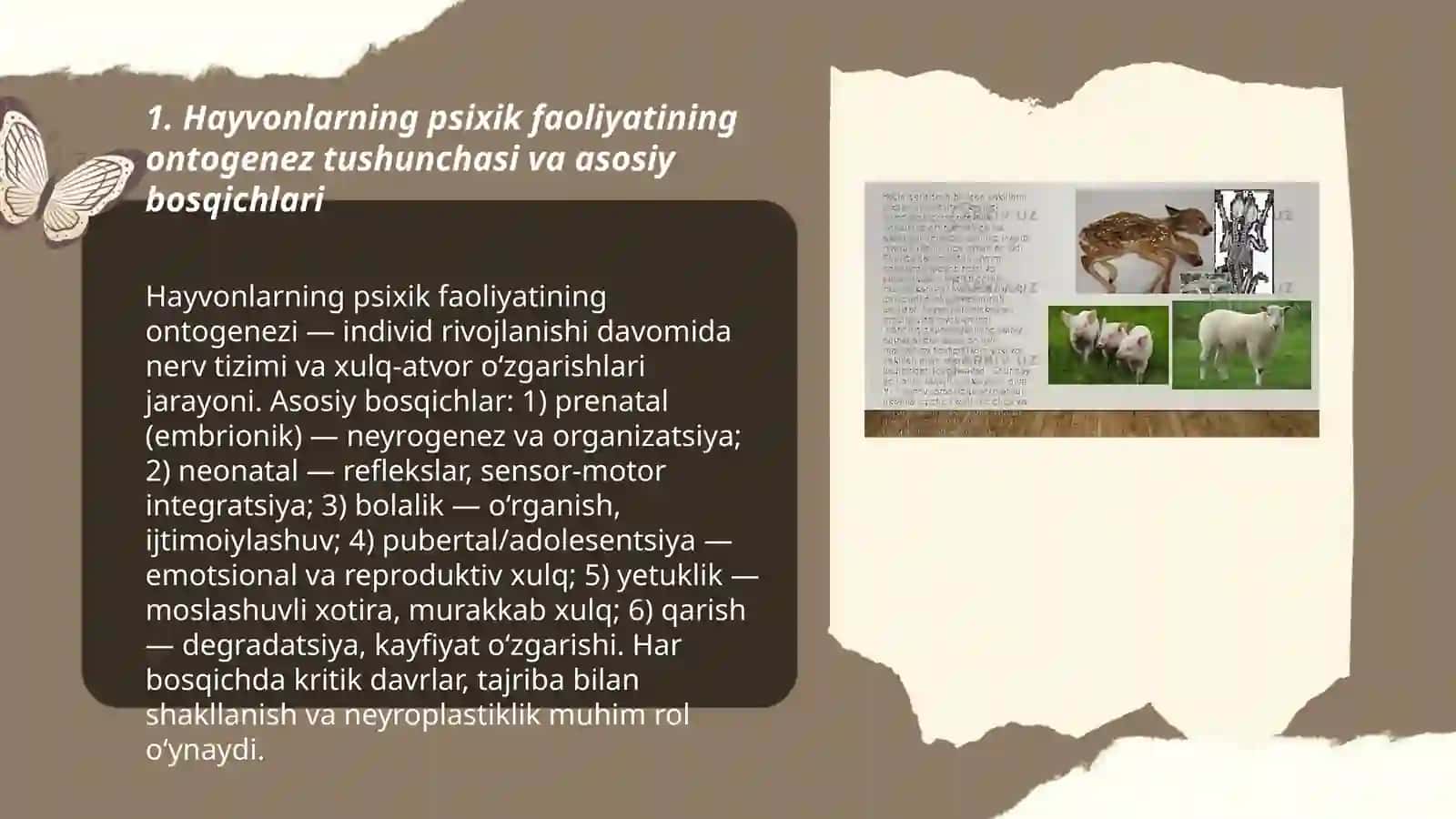 Hayvonlarning psixik faoliyatning ontogenezda rivojlanishi 3