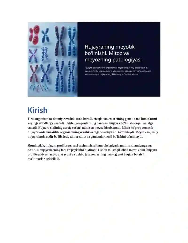 Hujayraning mitotik va hayotiy sikli. Hujayra proliferatsiyasi. Hujayraning meyotik bo‘linishi. Mitoz va meyoz patologiyasi 3