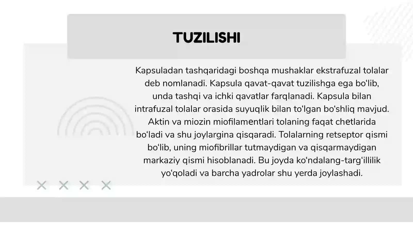 NERV-MUSHAK URCHUQLARINING TUZILISHI VA ISHLASH PRINSIPI 3