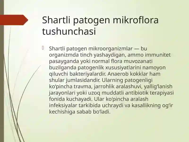 Shartlipatogen anaerob kokklar 3