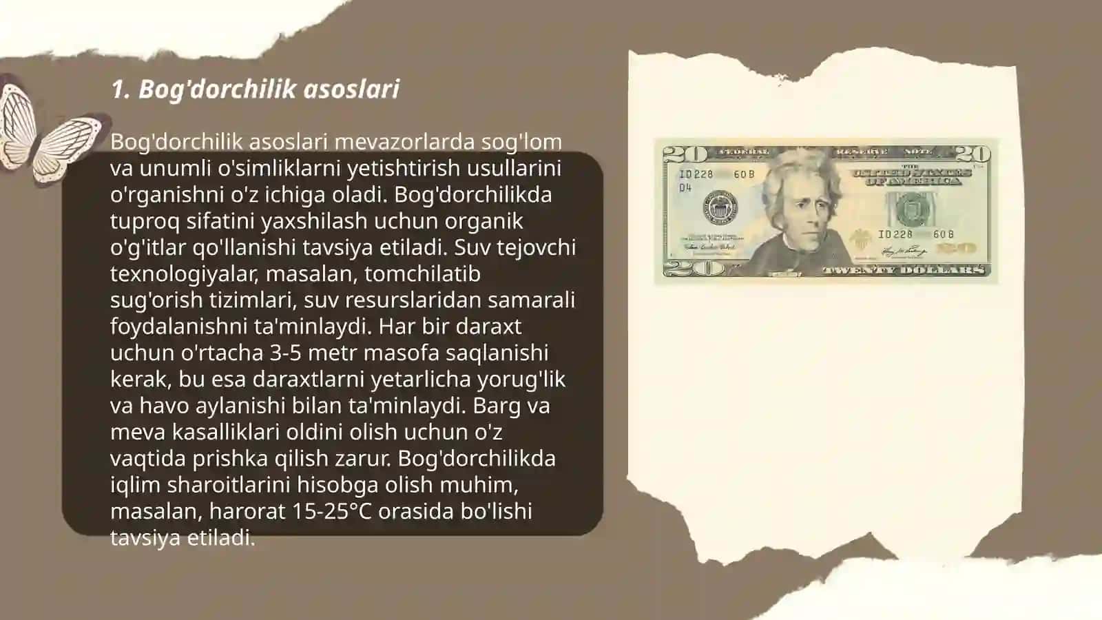 Tabiat burchagida ishlar 3