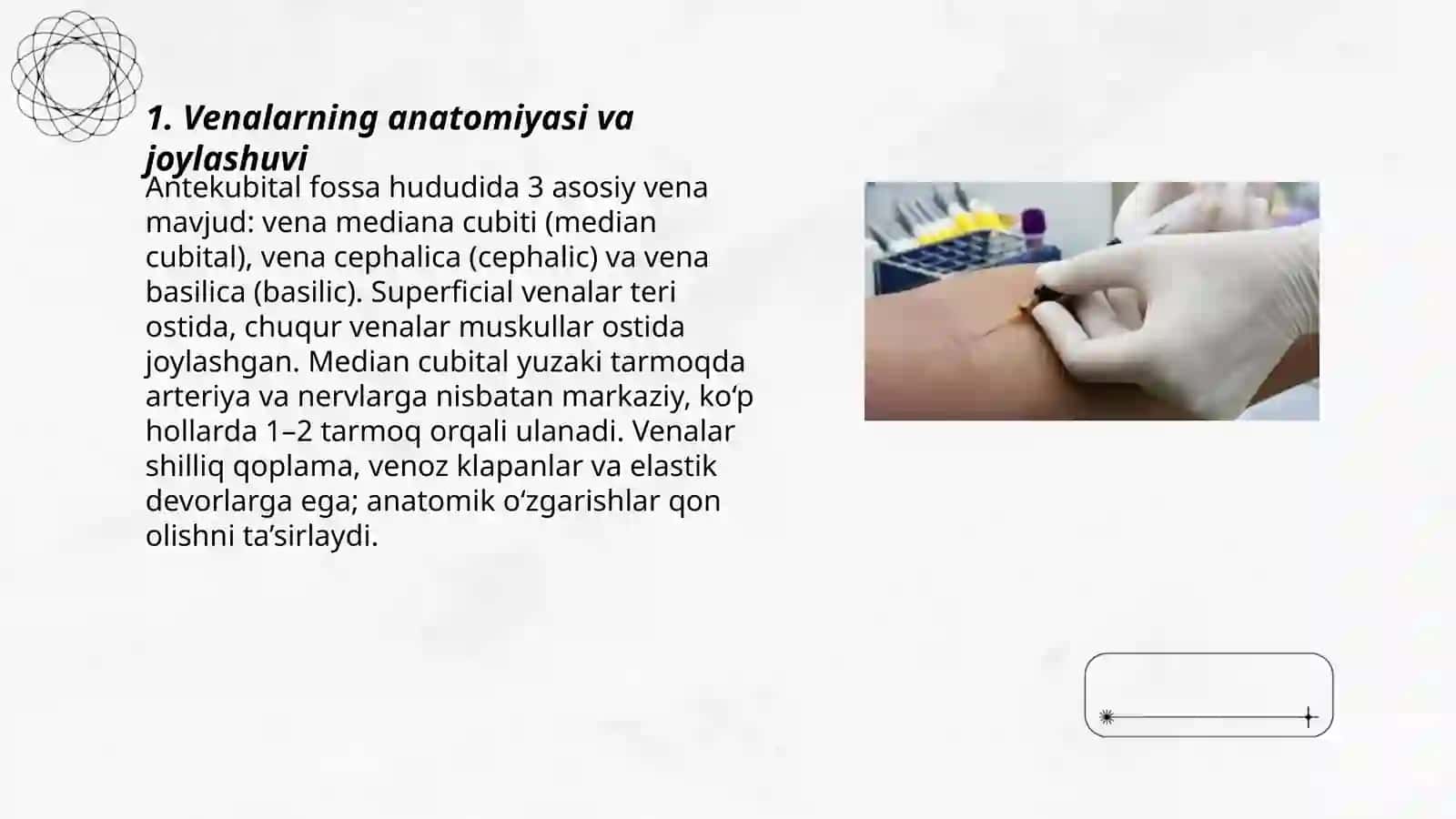 Venadan qon olish mehanizmi 3