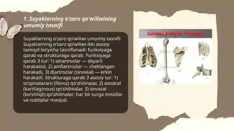 Suyaklarning oʻzaro qoʻwiliwi 3