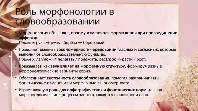 Основные морфонологические процессы в структуре русского производного слова 3