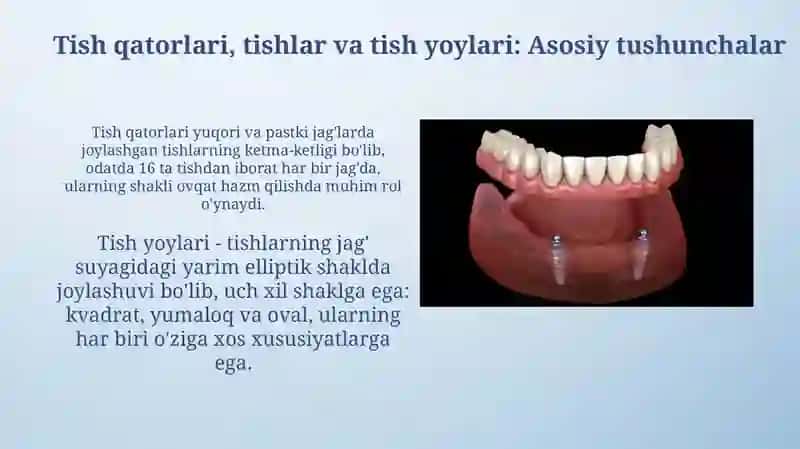Tish yoylarining shakllari. Tish vatishyoylari 3