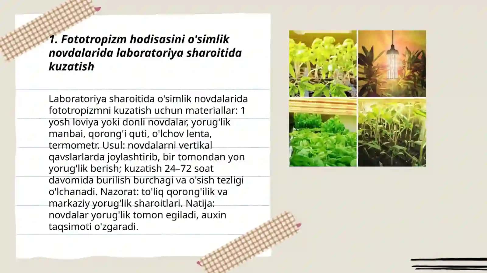 O'simliklardagi fototropizm, fotonastiya va geotropizm hodisalarini kuzatish 3