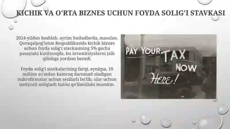 Kichik va O'rta Biznes uchun Foyda Solig'i Stavkasi 3