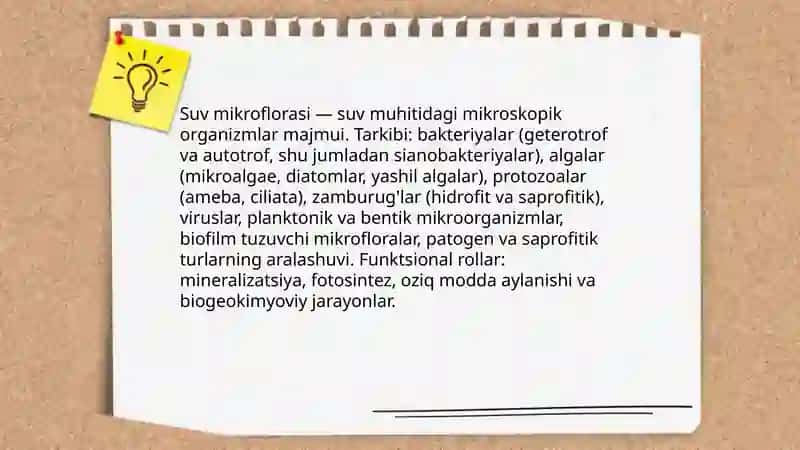 Suv mikroflorasi 3