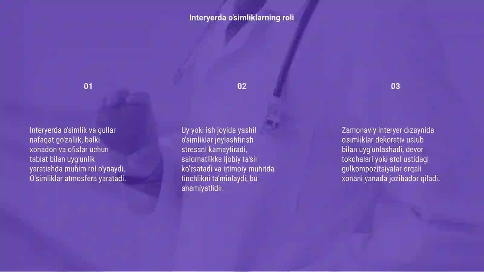 Interyerda o'simlik va gullar dunyosi, xonadon offislari 3