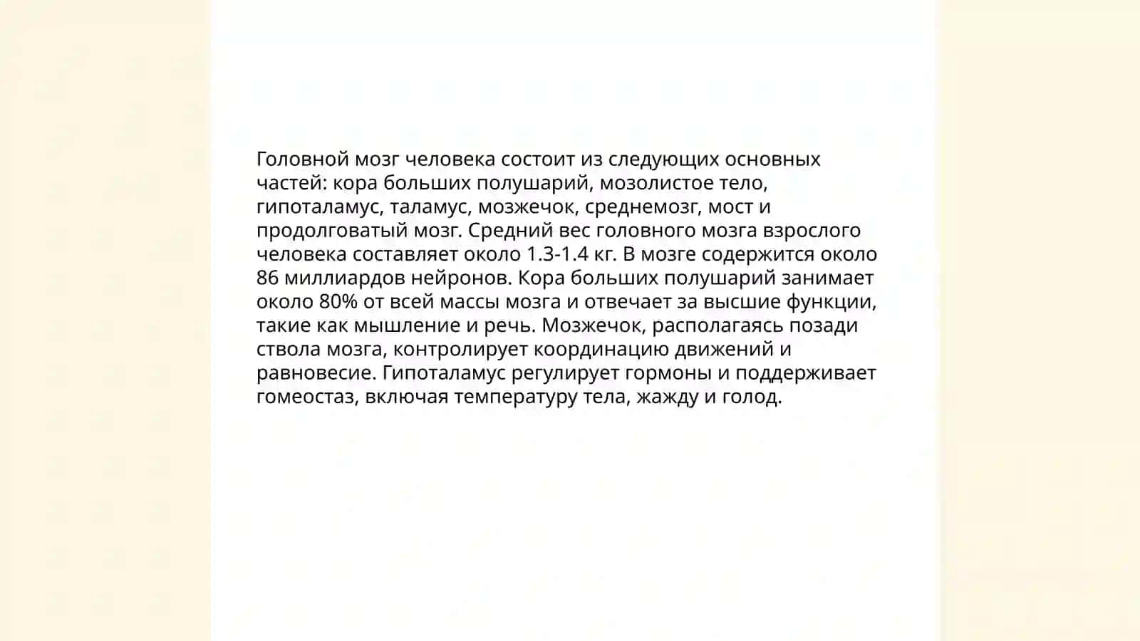 Анатомия головного мозга 3