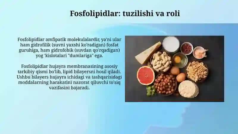 Lipitlar 3
