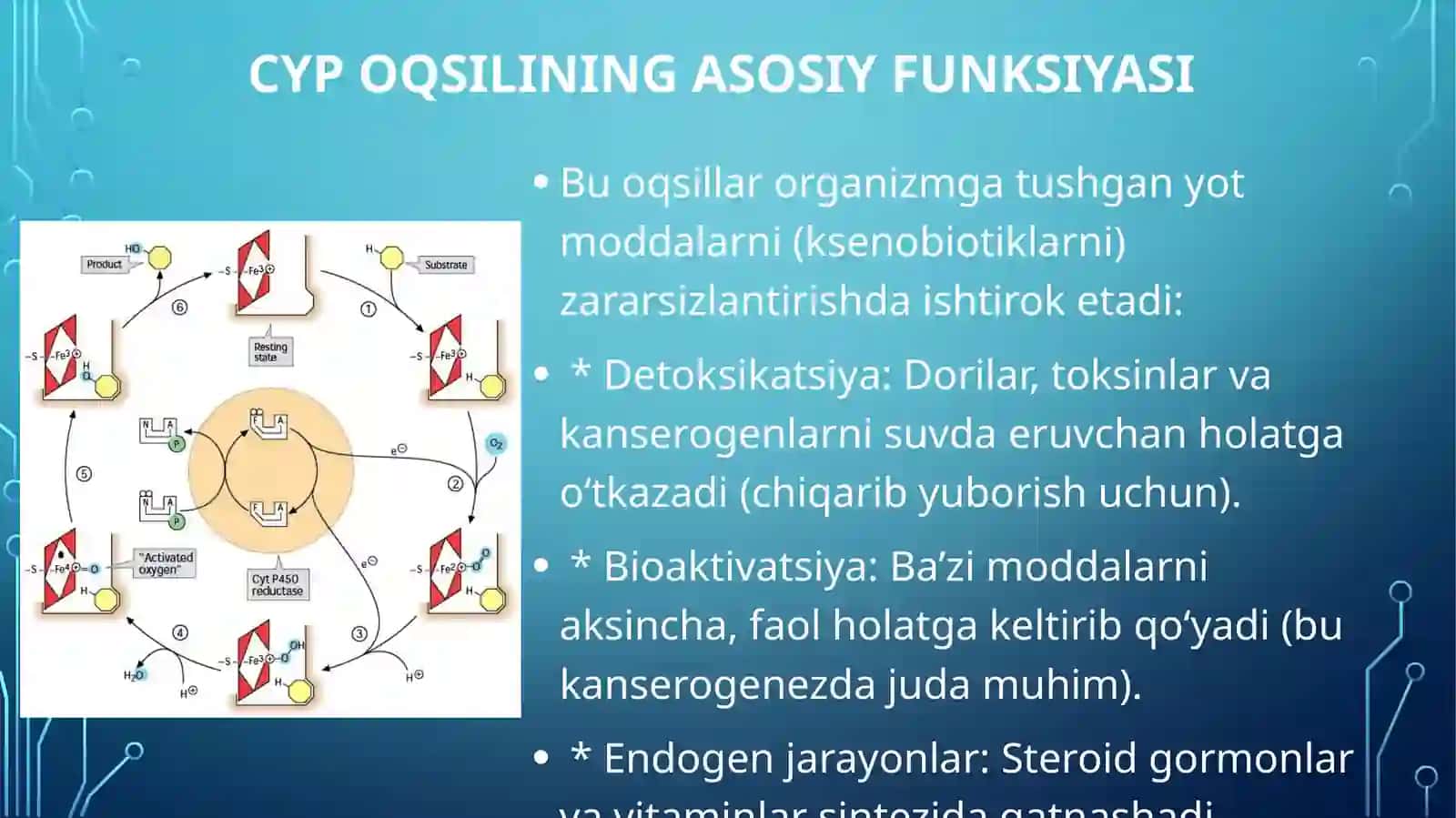 Sitoxrom P450 oqsili polimorfizmi va kimyoviy kanserogenez. 3