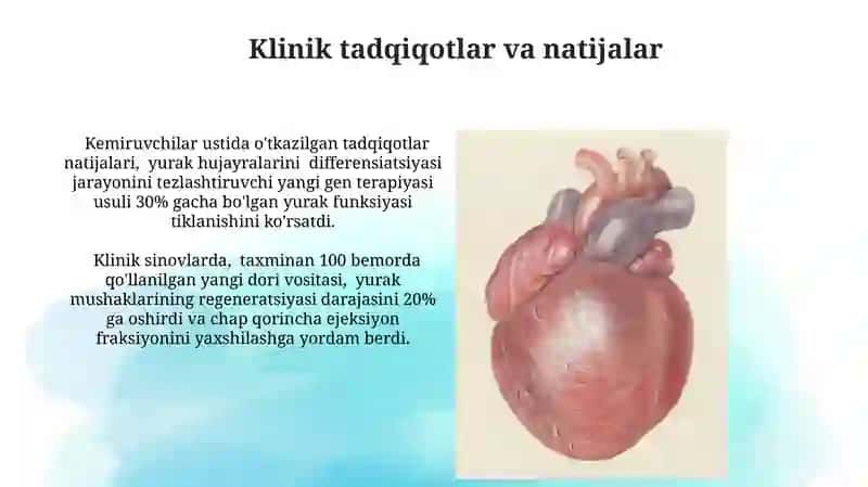 Yurak muskullari regeneratsiyasi 3