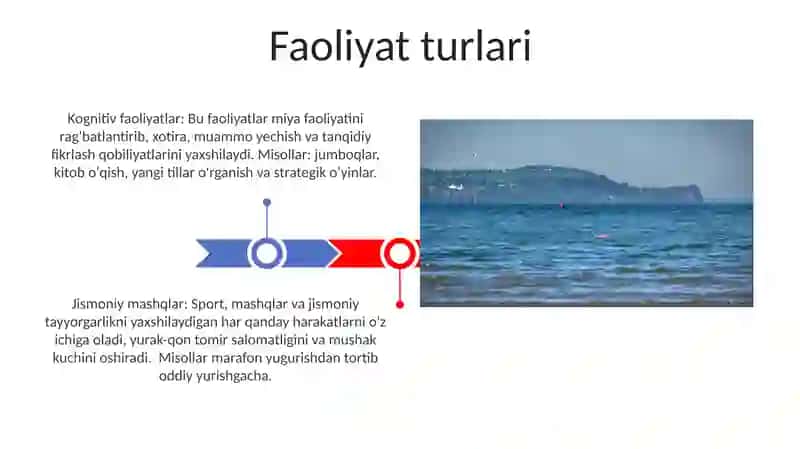 Faoliyat 3