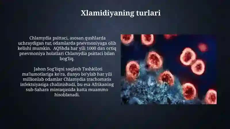 Patoge Xlamidiya 3
