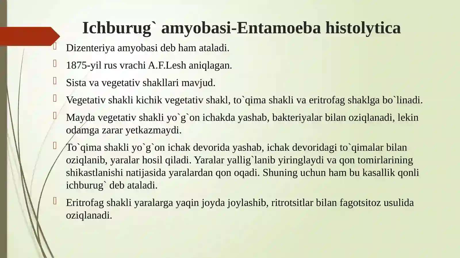 Ichburug‘ amyobasi va ichak balantidiyasi 3