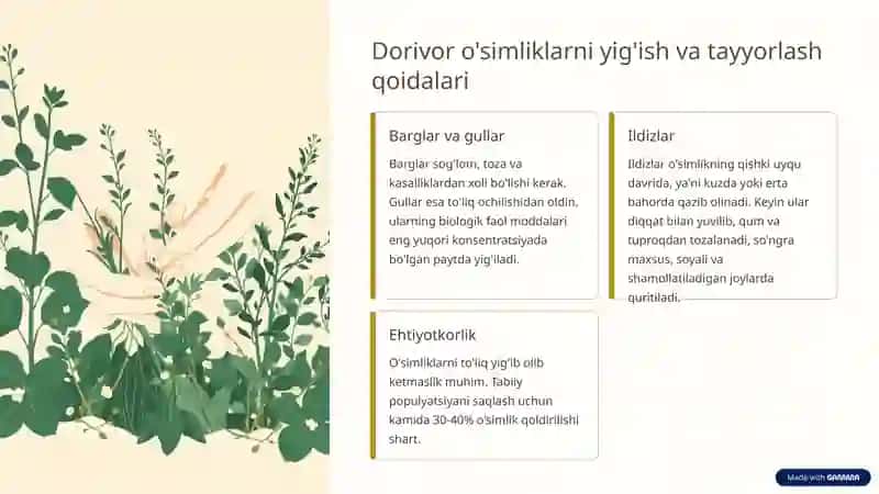 Dorivor o'simliklar 3