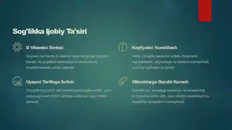 Xonalar Insolatsiyasi: Salomatlik va Farovonlik Garovi 3