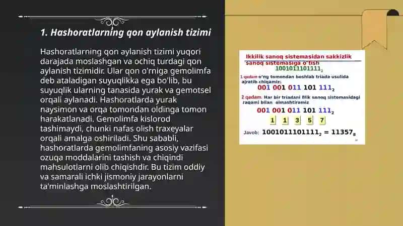 Hashoratlarning qon aylanish va ayiruv sistemalari 3
