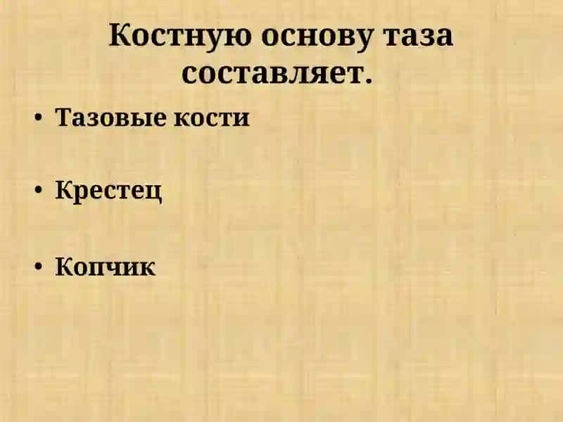 Топографическая анатомия таза 3