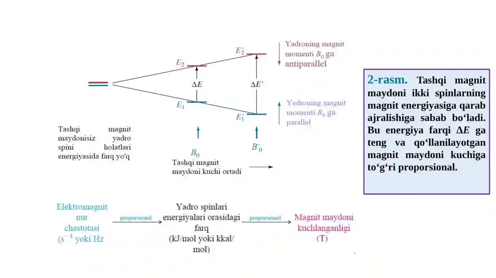 Oziq-ovqat mahsulotlari analizida molekulyar spektroskopik usullarning tadqiqi 3
