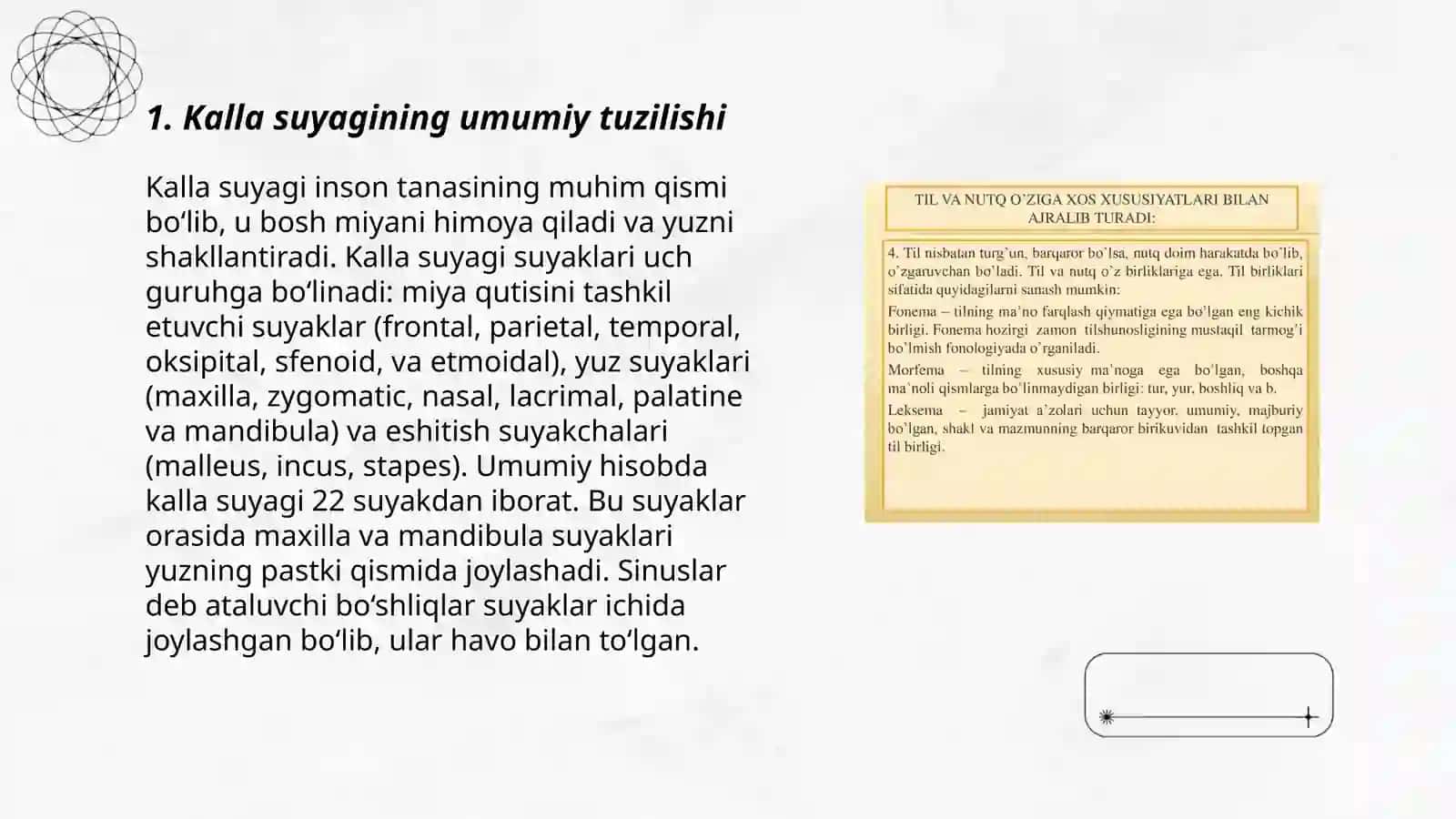 Kalla suyagining miya qismi suyaklari 3