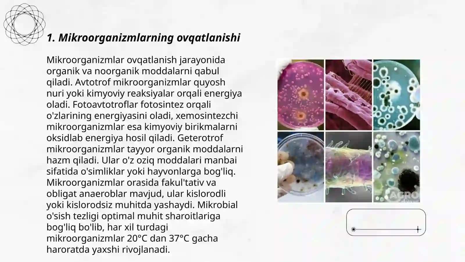 Mikroorganizmlarning fiziologiyasi 3