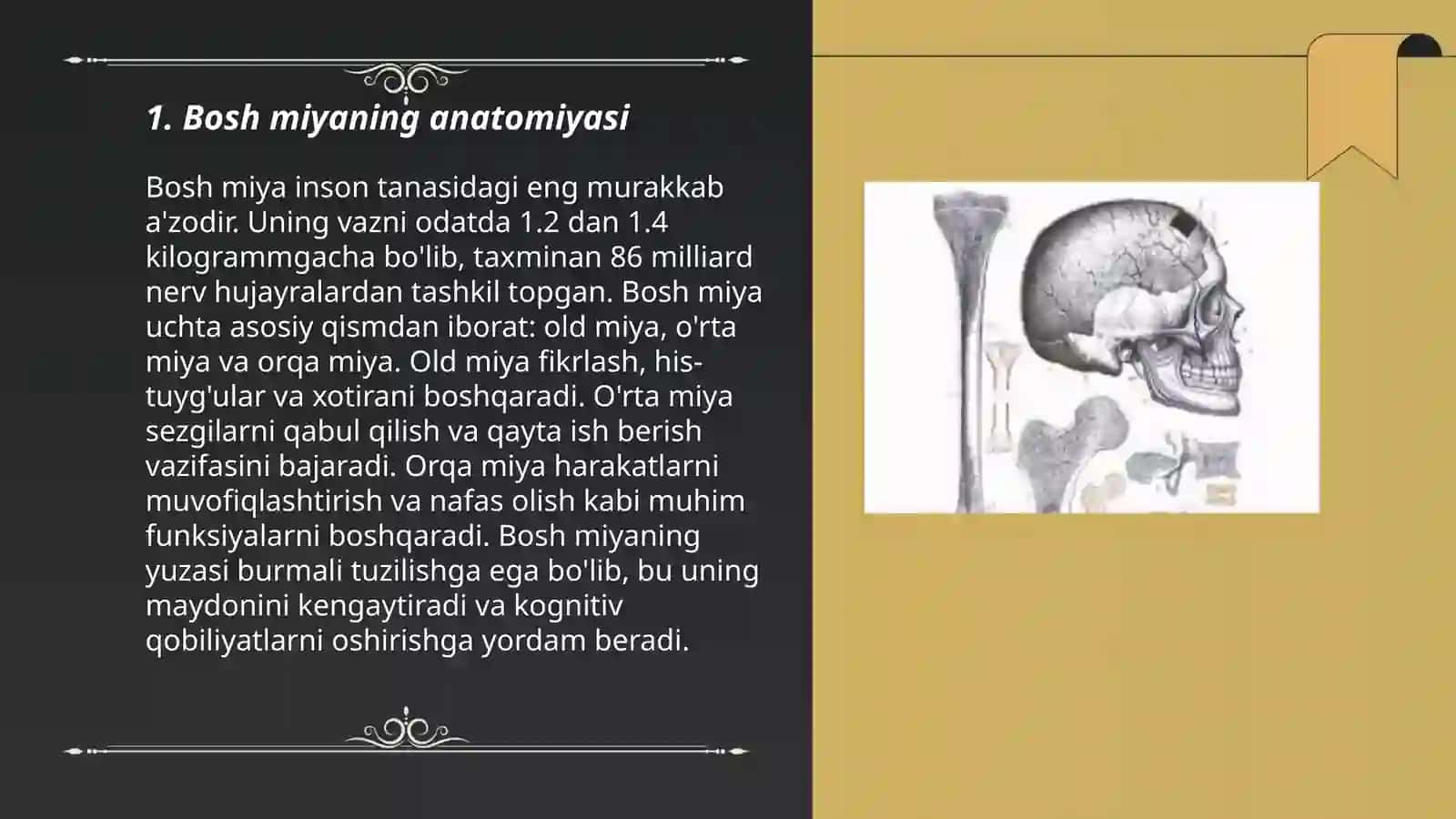 Bosh miya skleti 3