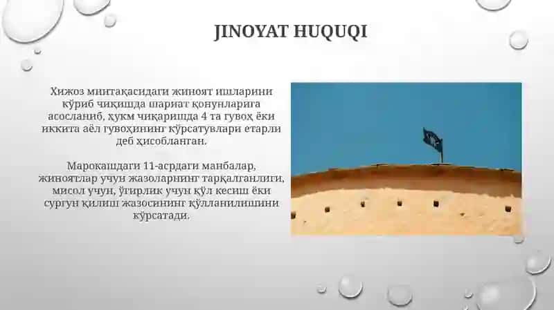 Arab halifaligi davlat va huquqi 3